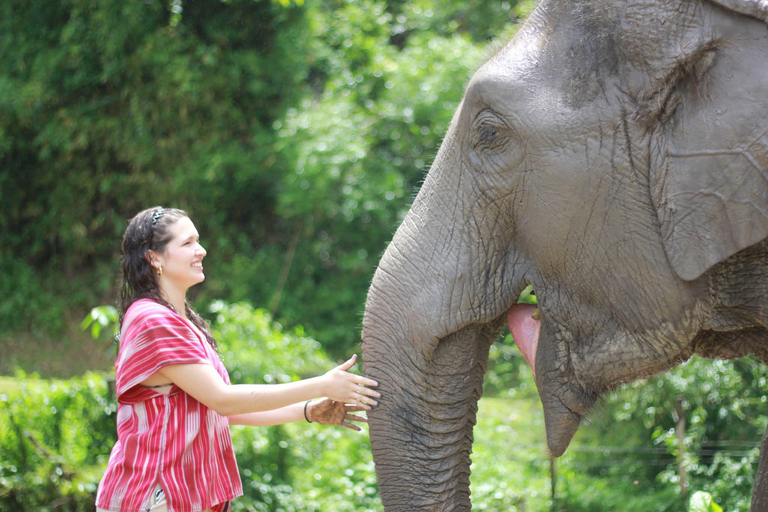 Chiang Mai: Elephant Sanctuary, Waterfall & Bamboo Rafting