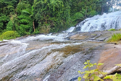Chiang Mai: Doi Inthanon Pha Dok Siew Trek & Karen Culture