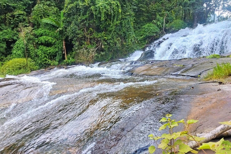 Chiang Mai: Doi Inthanon Pha Dok Siew Trek & Karen Culture