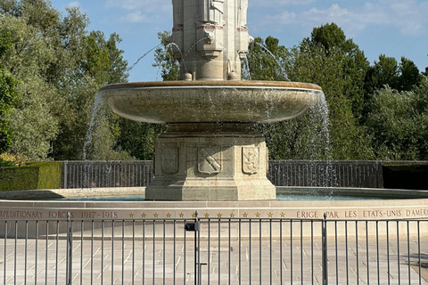 London: Premium 20+ Sights Tour with Expert Local Guide