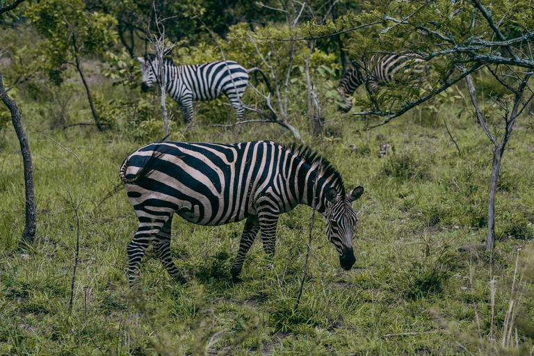 Kigali: Akagera National Park Safari with Boat Cruise