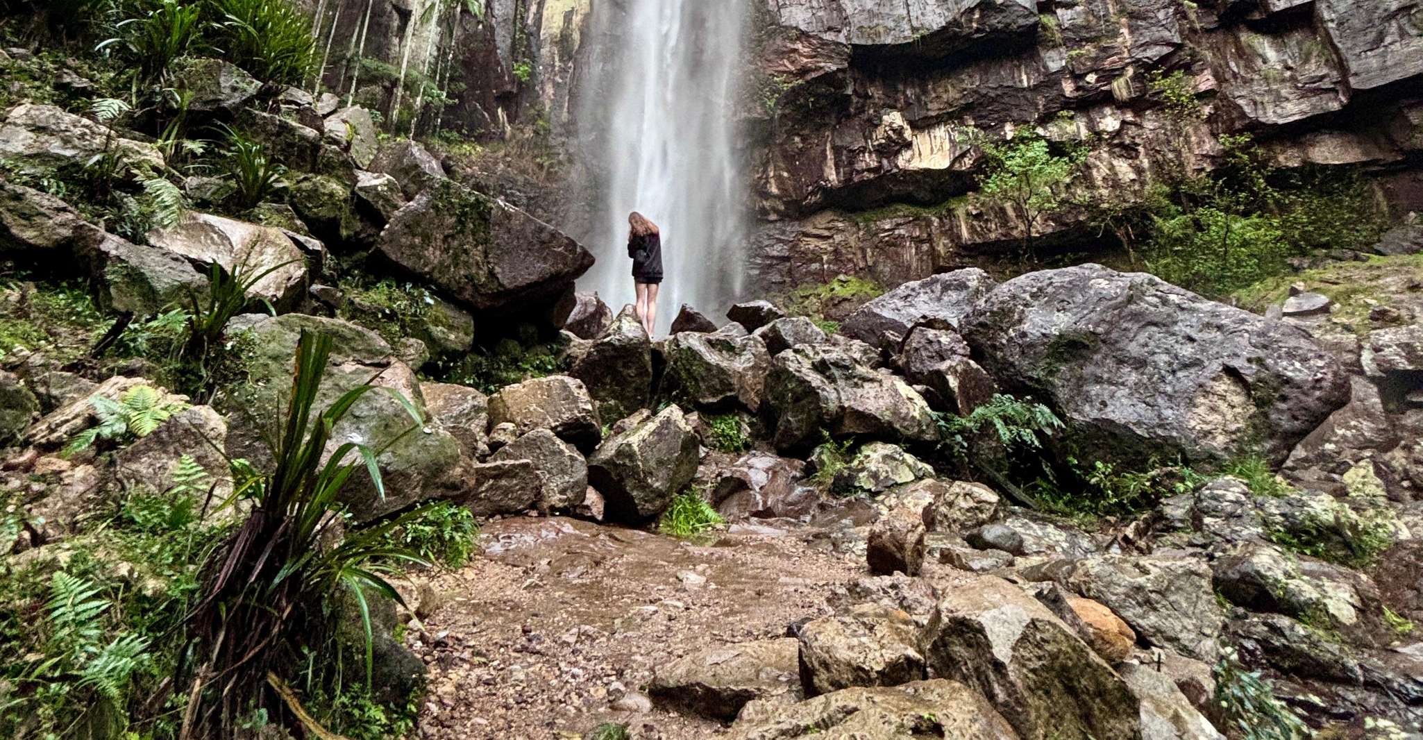 Byron Bay: Glowworms, Waterfalls & Rainforest Experience photo 6