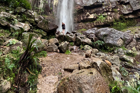 Byron Bay: Luciérnagas, Cascadas y Experiencia en la Selva Tropical