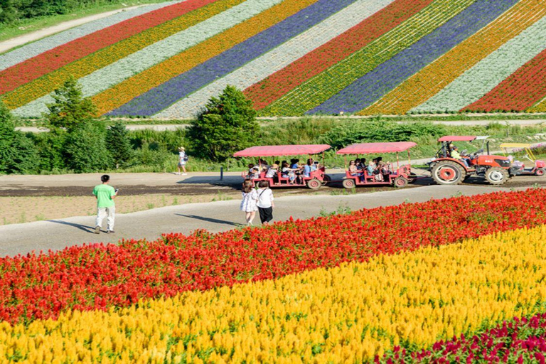 Sapporo: Biei & Furano Private Tour with Hot Spring