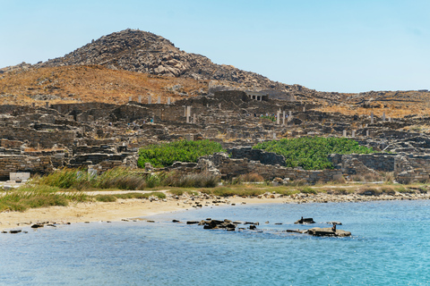 Mykonos Town: Archaeological Site of Delos Guided Day TripTour in French