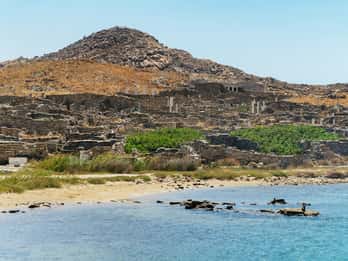 Mykonos : Excursion guidée d'une journée au site archéologique de Délos