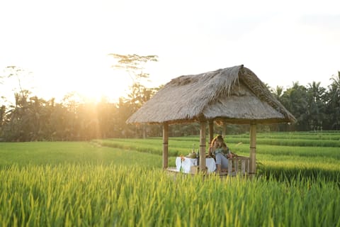 Private Romantic Picnic in Ubud Rice Fields