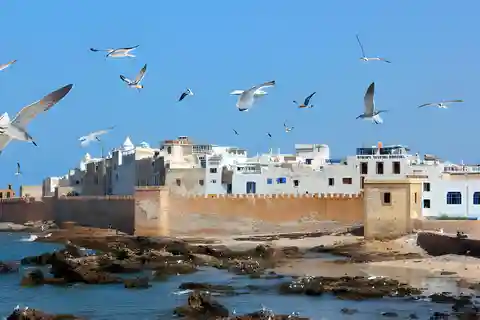 Au départ de Marrakech : Excursion privée d'une journée à Essaouira