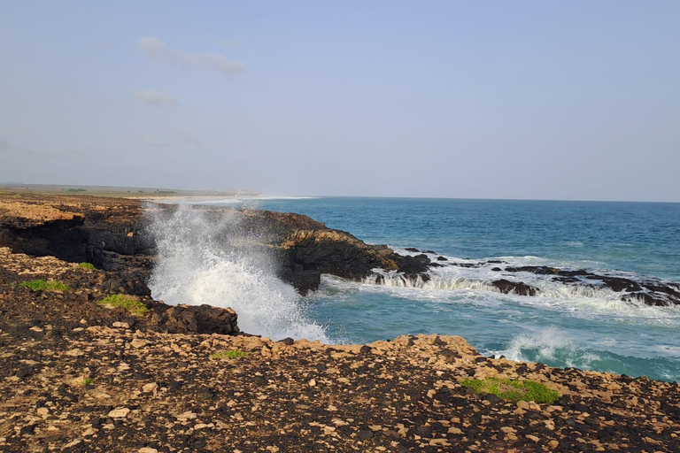 Boa Vista: The Full-Day around Boa Vista tour with Lunch