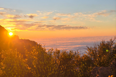 Madeira: Pico do Arieiro Sunrise Tour