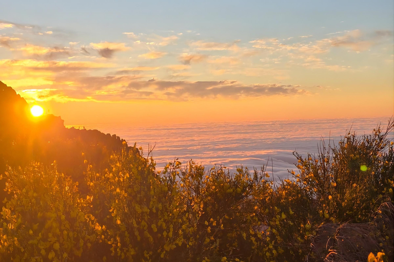 Madeira: Pico do Arieiro Sunrise Tour