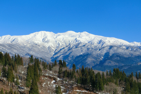 Kanazawa: Day Trip to Traditional Remote Mountain Village