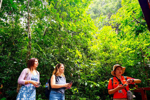 From Bangkok: Khao Yai National Park Day Trip with Lunch