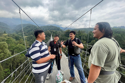 Jakarta: Regenwaldwanderung zu Wasserfall und HängebrückeKurze Wanderung (1,5 km)