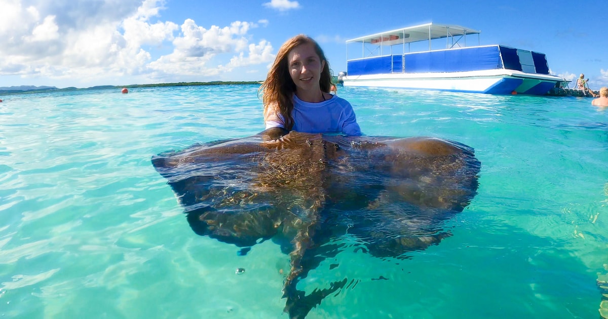 Antigua: Stingray City Experience Ticket | GetYourGuide