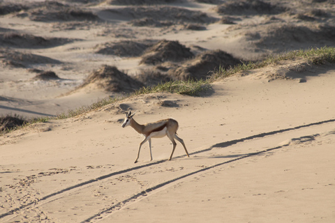 Windhoek: Sossusvlei and Swakopmund 3-Day & Sandwich Harbour
