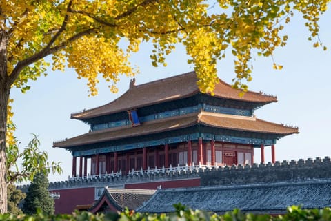 Forbidden City & Cultural Add-Ons: Dumpling Making & More