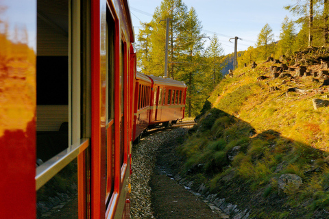 Swiss Alps by Train: Bernina & St. Moritz from Milan Tour with Standard Carriage
