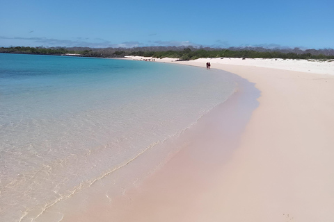 BESTE TOUR ZUR VOGELBEOBACHTUNG UND ZUM SCHNORCHELN AUF NORTH SEYMOUR ISLAND