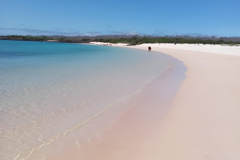 BESTE TOUR ZUR VOGELBEOBACHTUNG UND ZUM SCHNORCHELN AUF NORTH SEYMOUR ISLAND