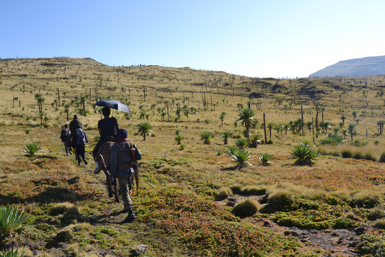 Gondar: Simien Mountains 4-Day Trek with Guide