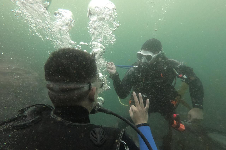 Lima : Découverte de la plongée sous-marine - Première expérience