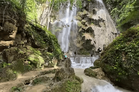 Oslob: Whale Sharks, Tumalog Falls & Sumilon Trio Adventure