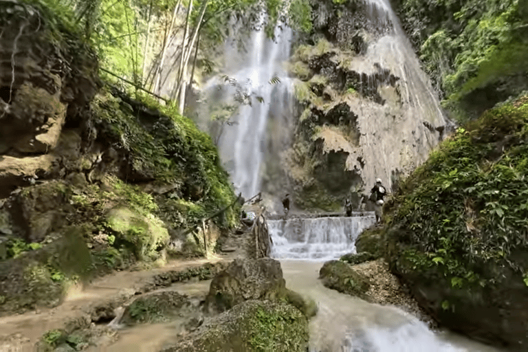 Oslob: Whale Sharks, Tumalog Falls & Sumilon Trio Adventure