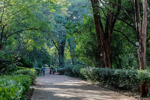 Stadsrondleiding door Nairobi met Arboretum, Jeevanjee Gardens &amp; meer