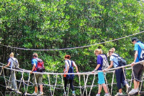 Vanuit Ho Chi Minh Stad: Groepstour Can Gio Mangrovebos