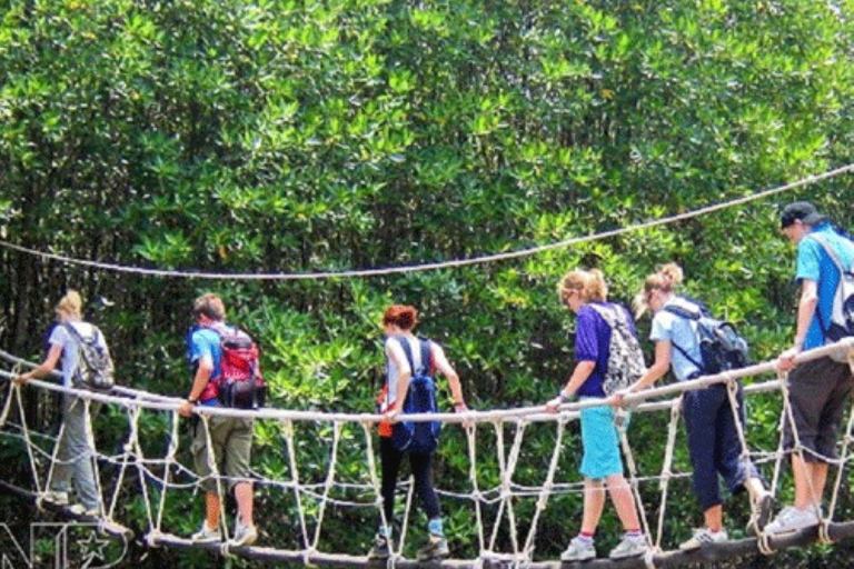 Vanuit Ho Chi Minh Stad: Groepstour Can Gio Mangrovebos