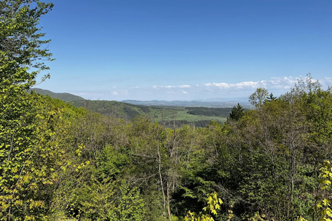 索非亚：维托沙山径跑之旅（初级/中级/高级）索菲亚：维托沙山径越野跑之旅（轻松/中等/困难三档可选）