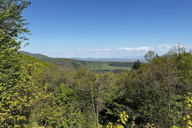 索非亚：维托沙山径跑之旅（初级/中级/高级）索菲亚：维托沙山径越野跑之旅（轻松/中等/困难三档可选）