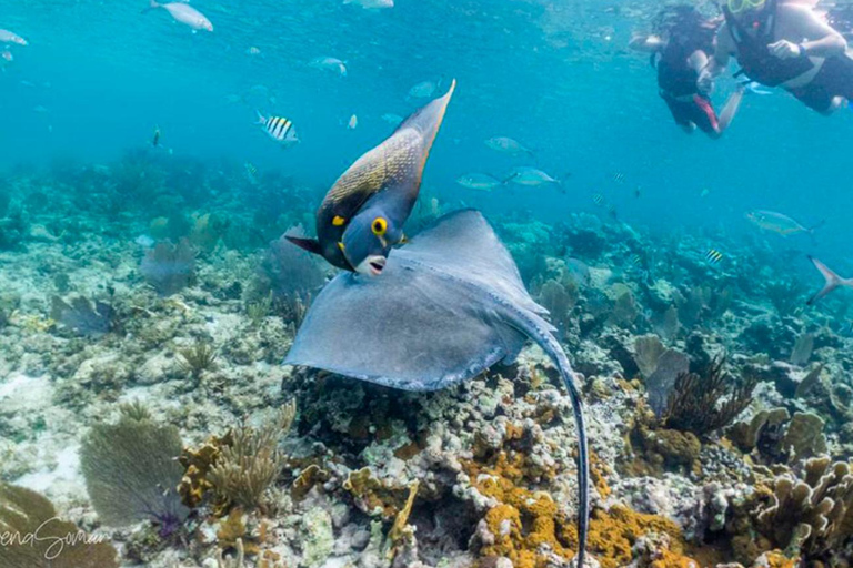 Riviera Maya: Full Day Private Catamaran to Isla Mujeres