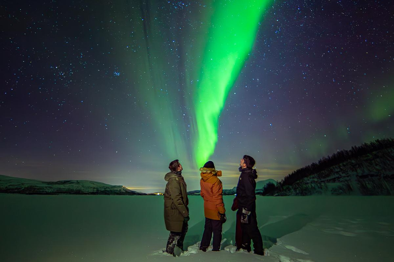 Tromsø: Northern Lights Bus Tour