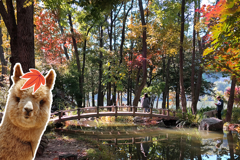 Seoul: Alpaca/Nami/Garden of Morning Calm Tour (+Rail Bike) Group Tour, Meet at Hongdae