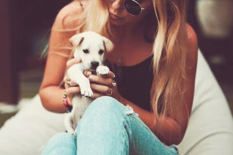 Le paradis des chiots du monde entier — Un bonheur balinais qui a du sensDécouvrez le paradis mondial des chiots à Thalassa Seseh