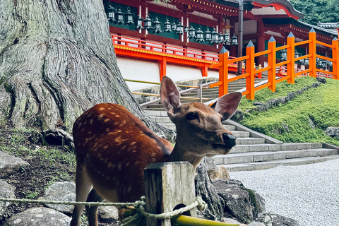 Visita guiada completa ao Templo Todaiji, ao Santuário Kasuga e ao Parque de Nara