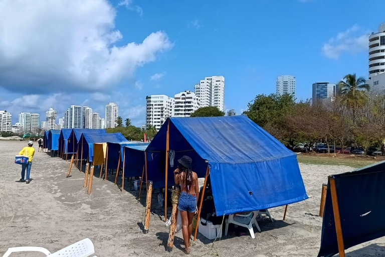 Cartagena: SUN TENT, CHAIRS on Castillogrande beach+LUNCH