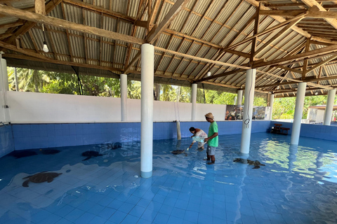 Nusa Penida: Manta Ray Snorkeling & Turtle Sanctuary