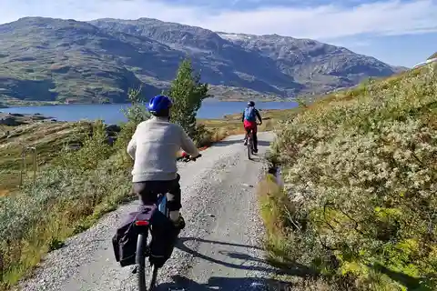 Flam-Myrdal: Geführte E-Bike-Tour auf dem berühmten Rallarvegen.