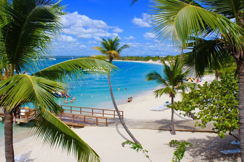 Punta Cana: Catalina Island Day Trip with Snorkeling