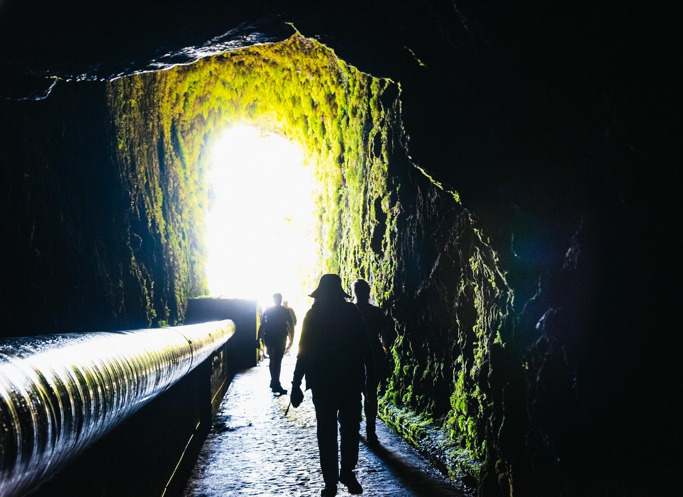 Madeira: Nyd en guidet gåtur i Levada i Rabaçal-dalen