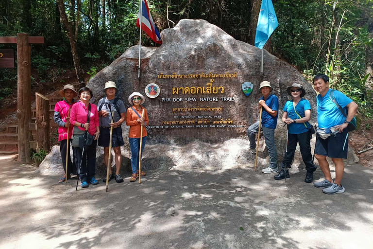 Chiang Mai: Doi Inthanon National Park & Elefantenschutzgebiet