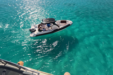 Hurghada: Dolphin House Speedboat Trip & Swim with Dolphins Group Dolphin Watching, Swimming and Snorkeling with Fruits