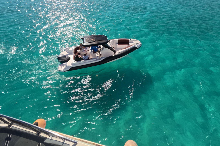 Hurghada: Dolphin House Speedboat Trip & Swim with Dolphins Group Dolphin Watching, Swimming and Snorkeling with Fruits