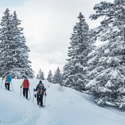 Interlaken: Snowshoe Tour with Wine & Cheese