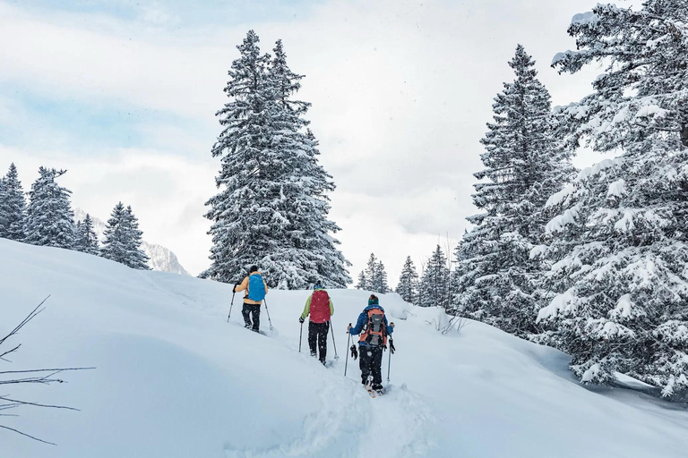 Interlaken: Snowshoe Tour with Wine & Cheese