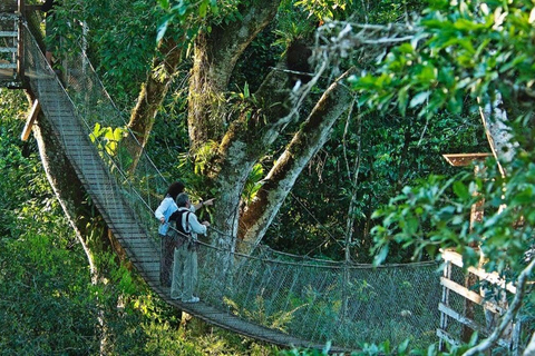 Puerto Maldonado: Canopy, Zipline, and Kayak Adventure