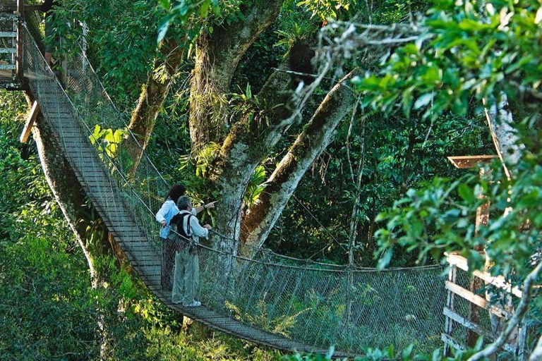 Puerto Maldonado: Canopy, Zipline, and Kayak Adventure